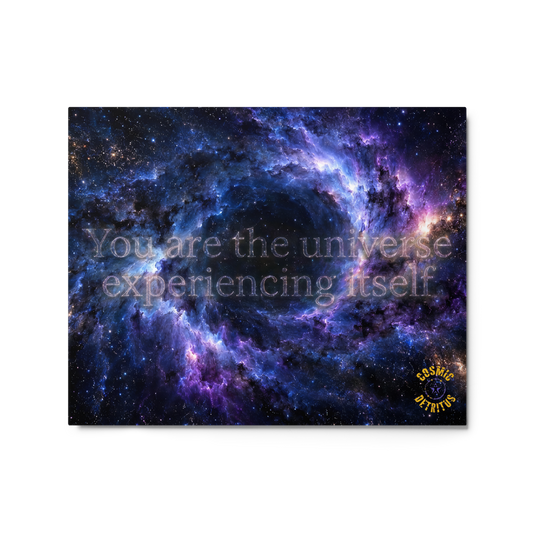 You are the Universe